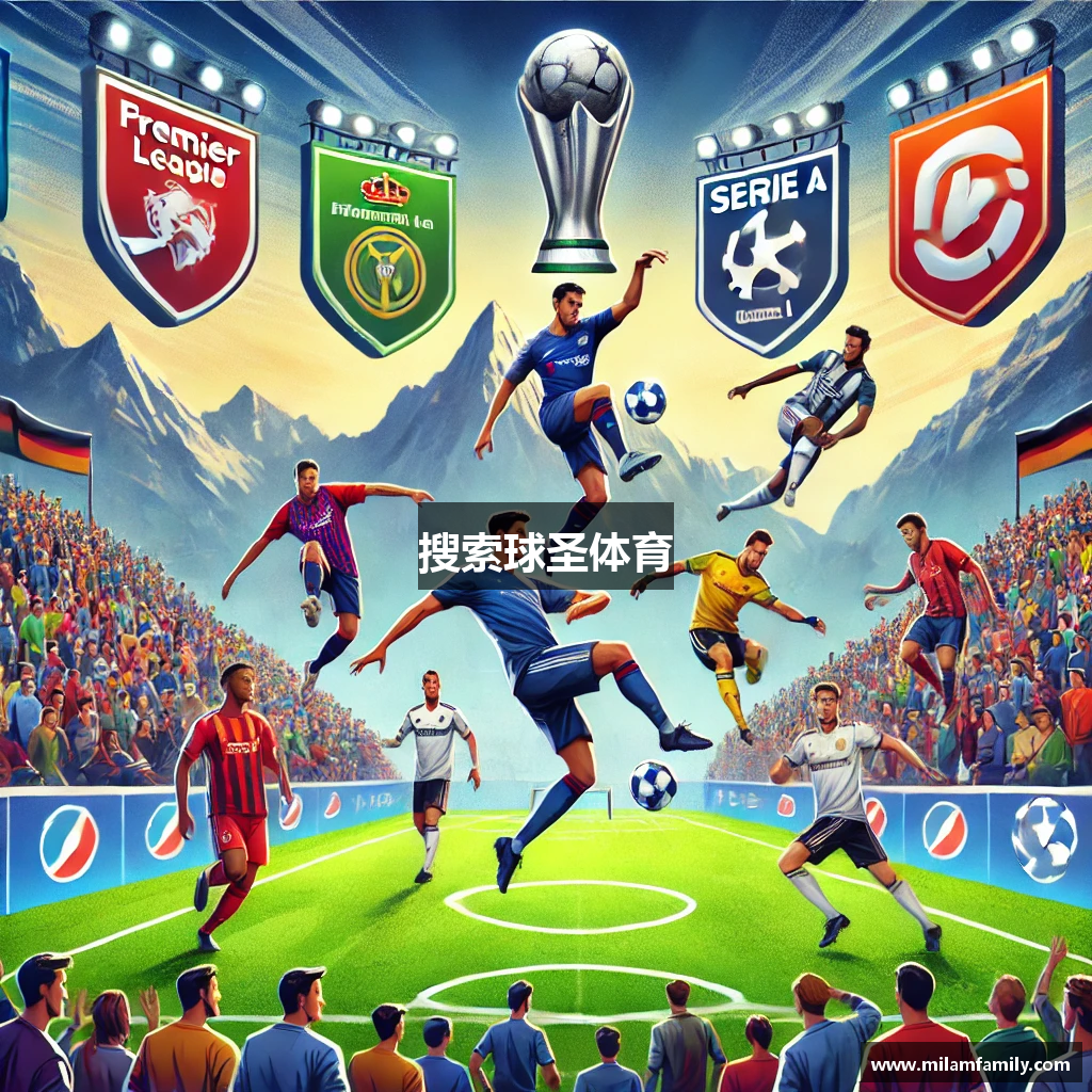 搜索球圣体育